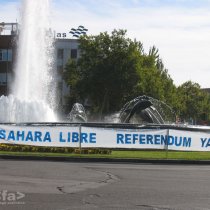 Sáhara libre. Referendum Ya