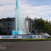 Sáhara libre. Referendum Ya