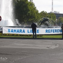 Sáhara libre. Referendum Ya