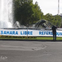 Sáhara libre. Referendum Ya