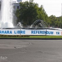 Sáhara libre. Referendum Ya