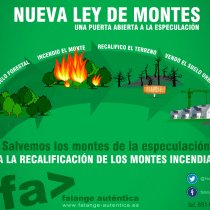 Nueva ley de montes, una puerta abierta a la especulación