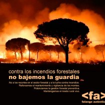 Contra los incendios, no bajemos la guardia