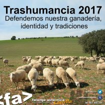 Transhumancia 2017