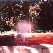 Las fuentes lloran sangre (Tenerife)