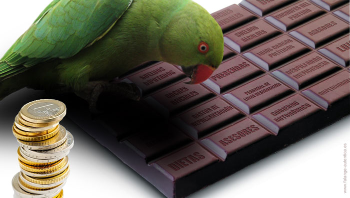 El chocolate del loro