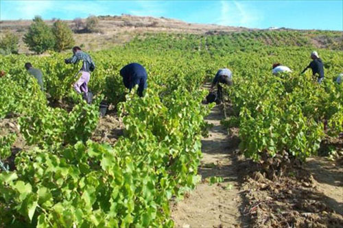 Comarca de Tierra de Barros