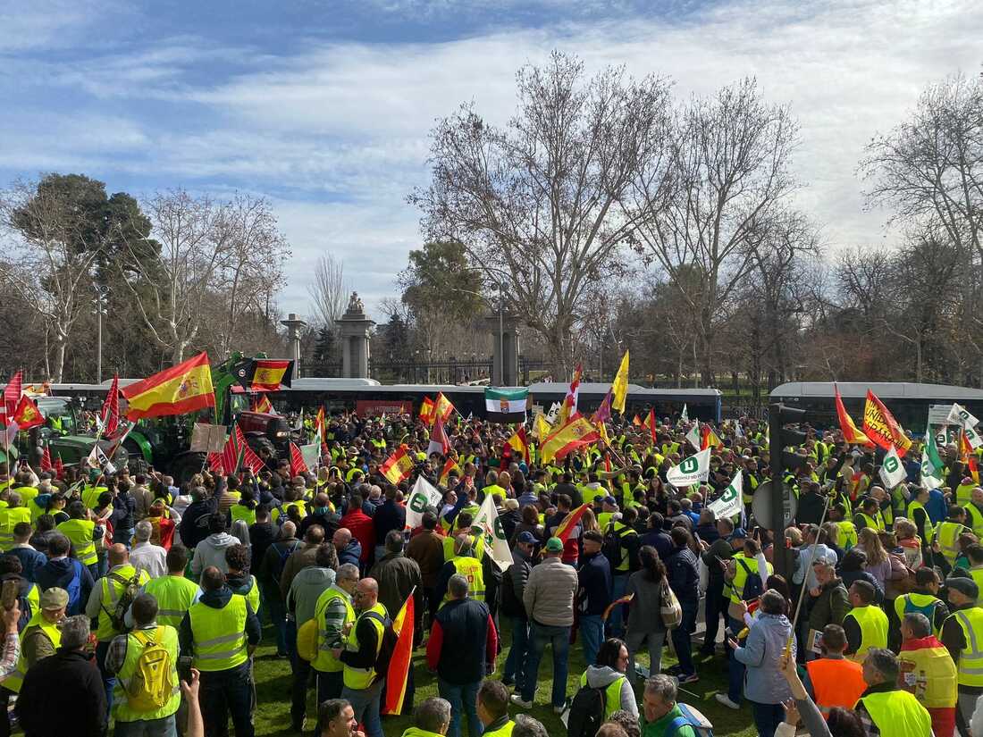 Manifestaciones de agricultores y ganaderos españoles